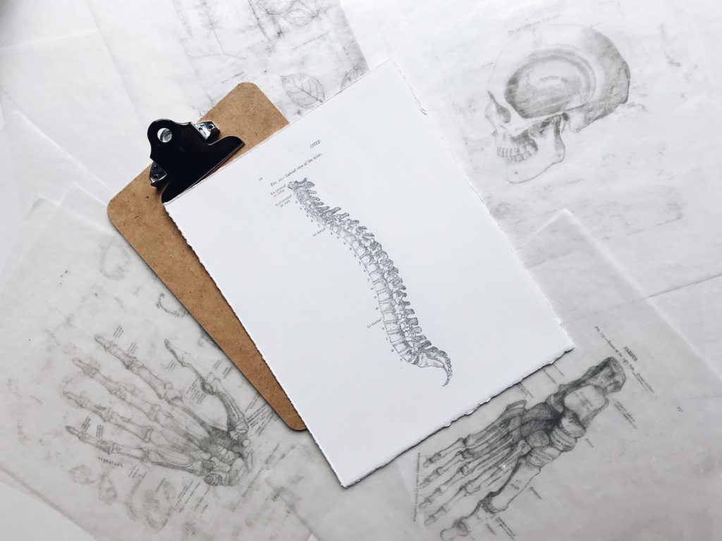 brown and black clipboard with skeletal drawings