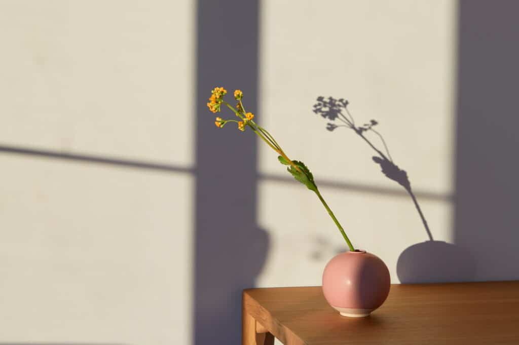 a single flower in a round pink vase