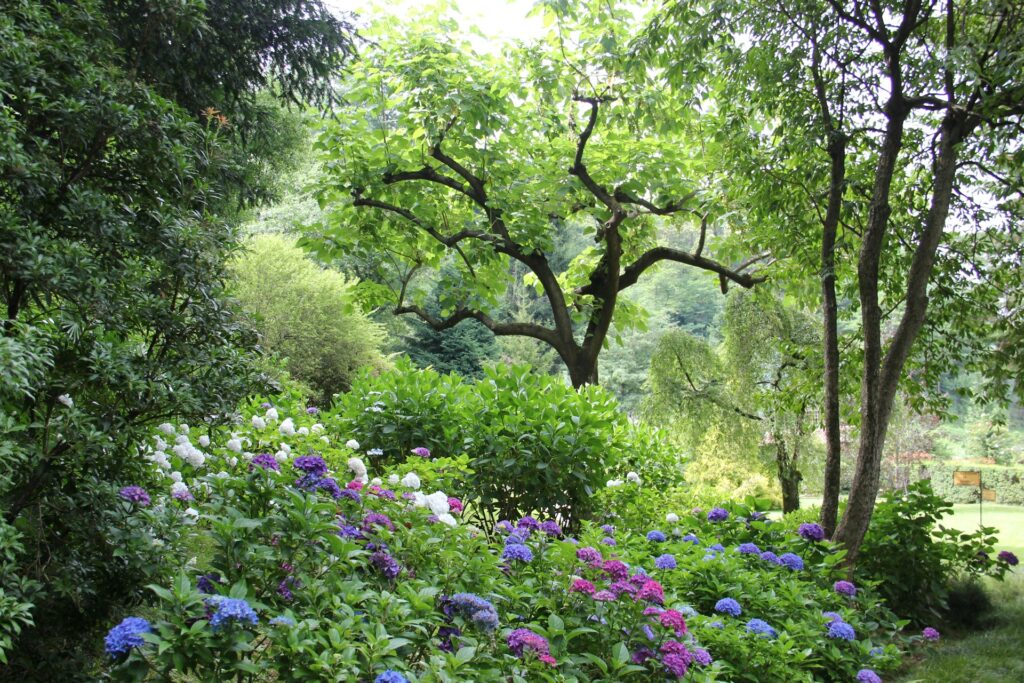 A lush garden with pink, purple, and white flowers in the foreground and leafy bushes and trees, representing BC property disputes hedges.