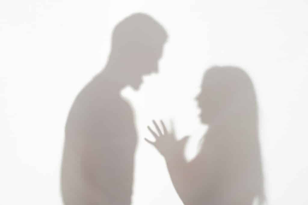 A shadowy, out-of-focus silhouette of a man and a woman is visible through a translucent screen. The man appears to be yelling at the woman, whose hands are raised near her face in a defensive or distressed gesture, illustrating a scene of conflict or abuse. This image relates to the serious topic of family violence and the need to dispel common myths surrounding it.