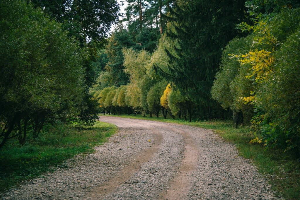A narrow dirt easement curving between thick, green forest on both sides, representing easement disputes in BC.